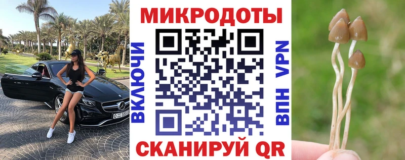 Псилоцибиновые грибы мицелий  где купить наркоту  Старица 